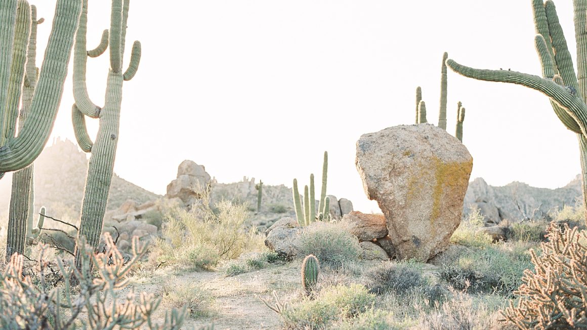 https://www.pressedflowersboudoir.com/wp-content/uploads/2022/02/desert-boudoir-photos_1531-1160x653.jpg