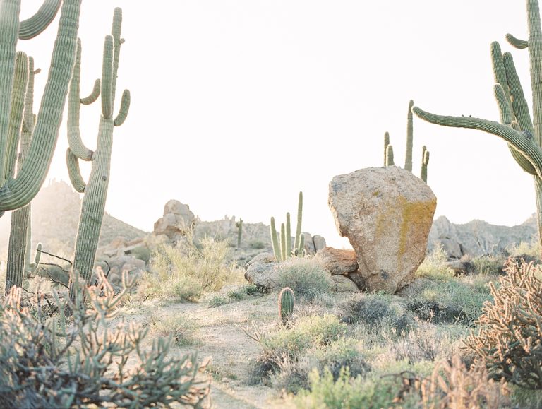 https://www.pressedflowersboudoir.com/wp-content/uploads/2022/02/desert-boudoir-photos_1531-768x579.jpg